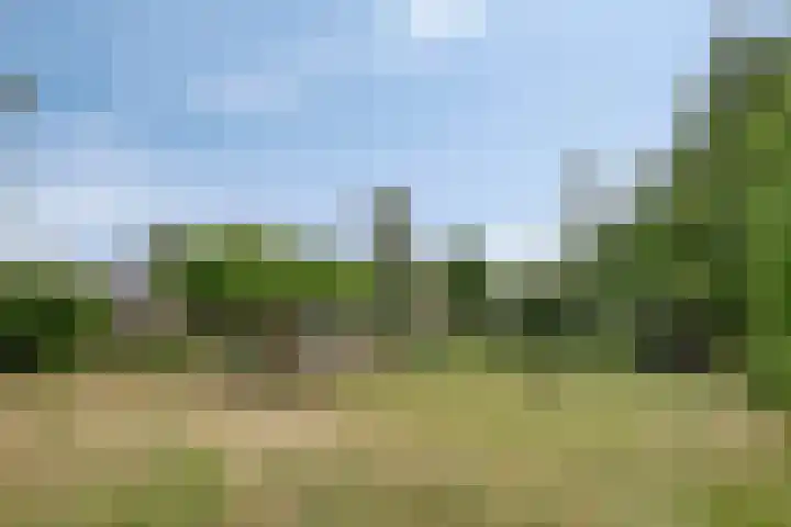 Elspeterweg 30 A Vaassen thumbnail 40