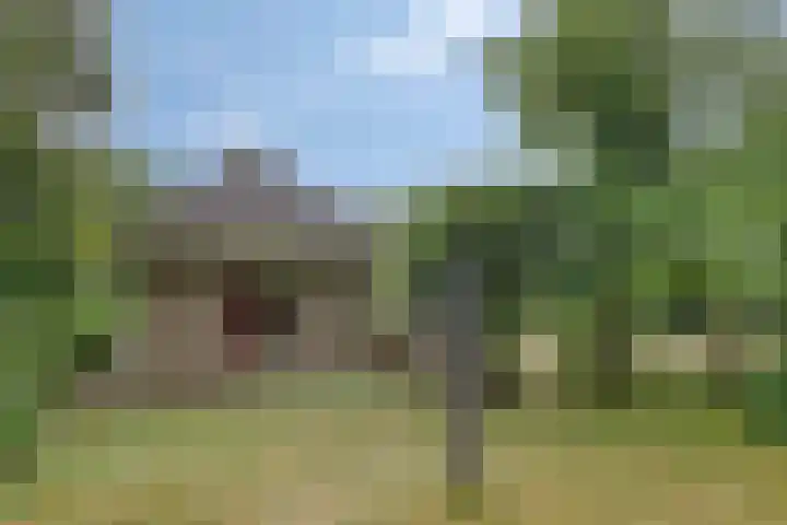 Elspeterweg 30 A Vaassen thumbnail 41