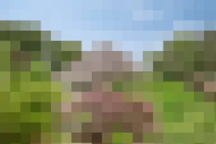Elspeterweg 30 A Vaassen thumbnail 42