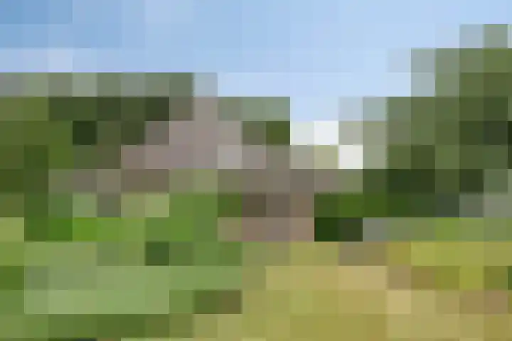 Elspeterweg 30 A Vaassen thumbnail 43