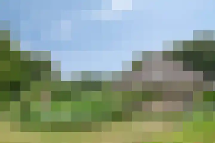 Elspeterweg 30 A Vaassen thumbnail 44