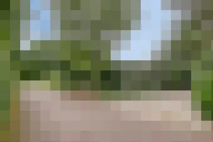 Elspeterweg 30 A Vaassen thumbnail 5