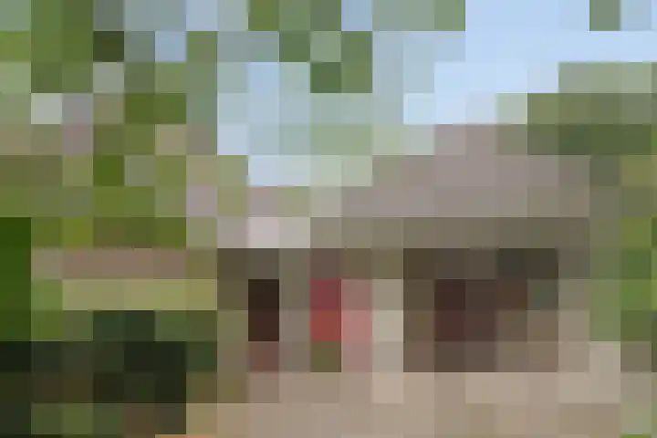 Elspeterweg 30 A Vaassen thumbnail 6