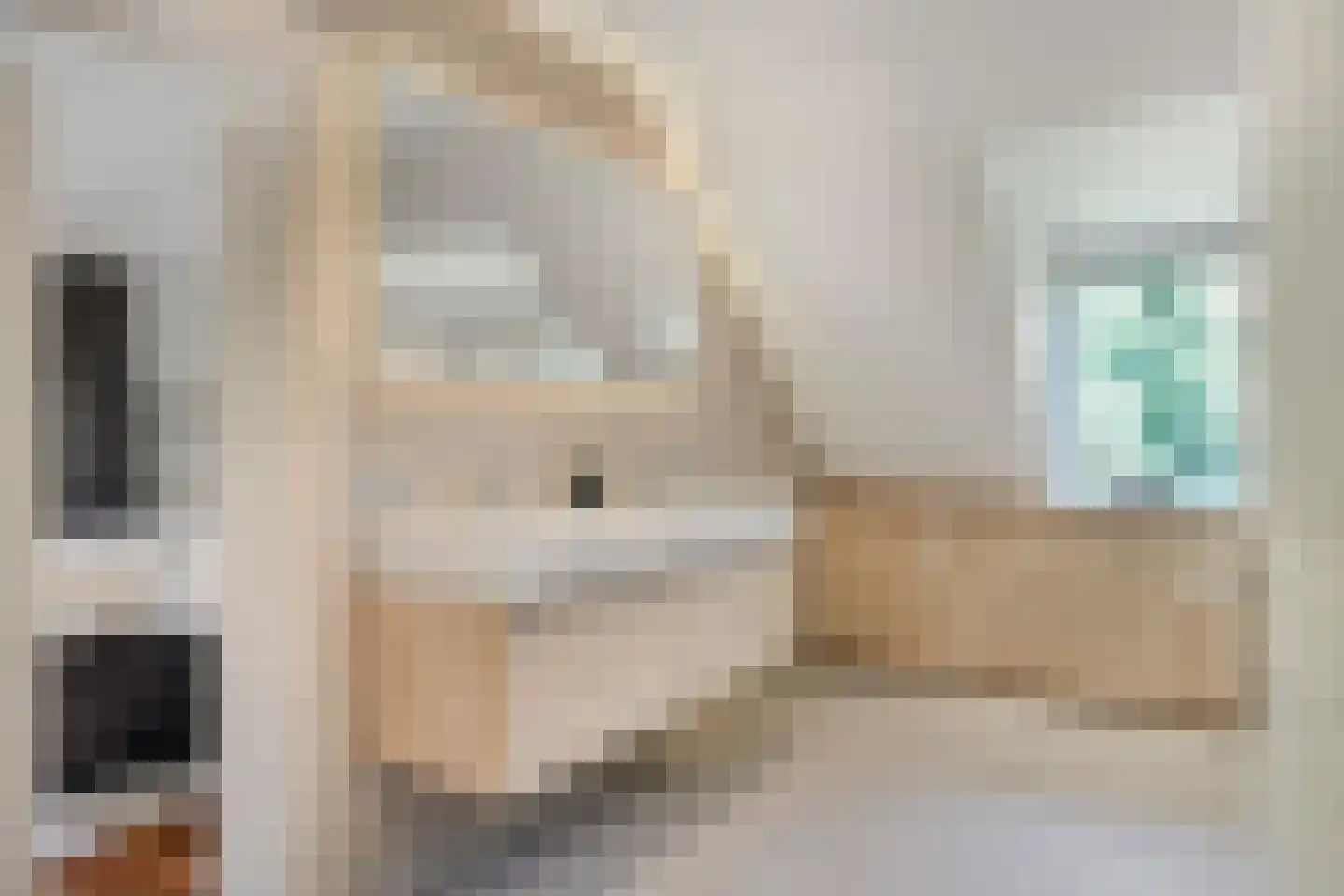 Elspeterweg 30 Vaassen thumbnail 32