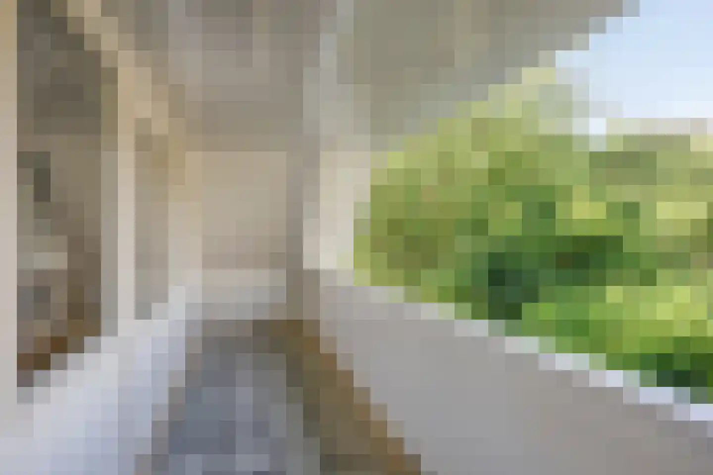 Elspeterweg 30 Vaassen thumbnail 38