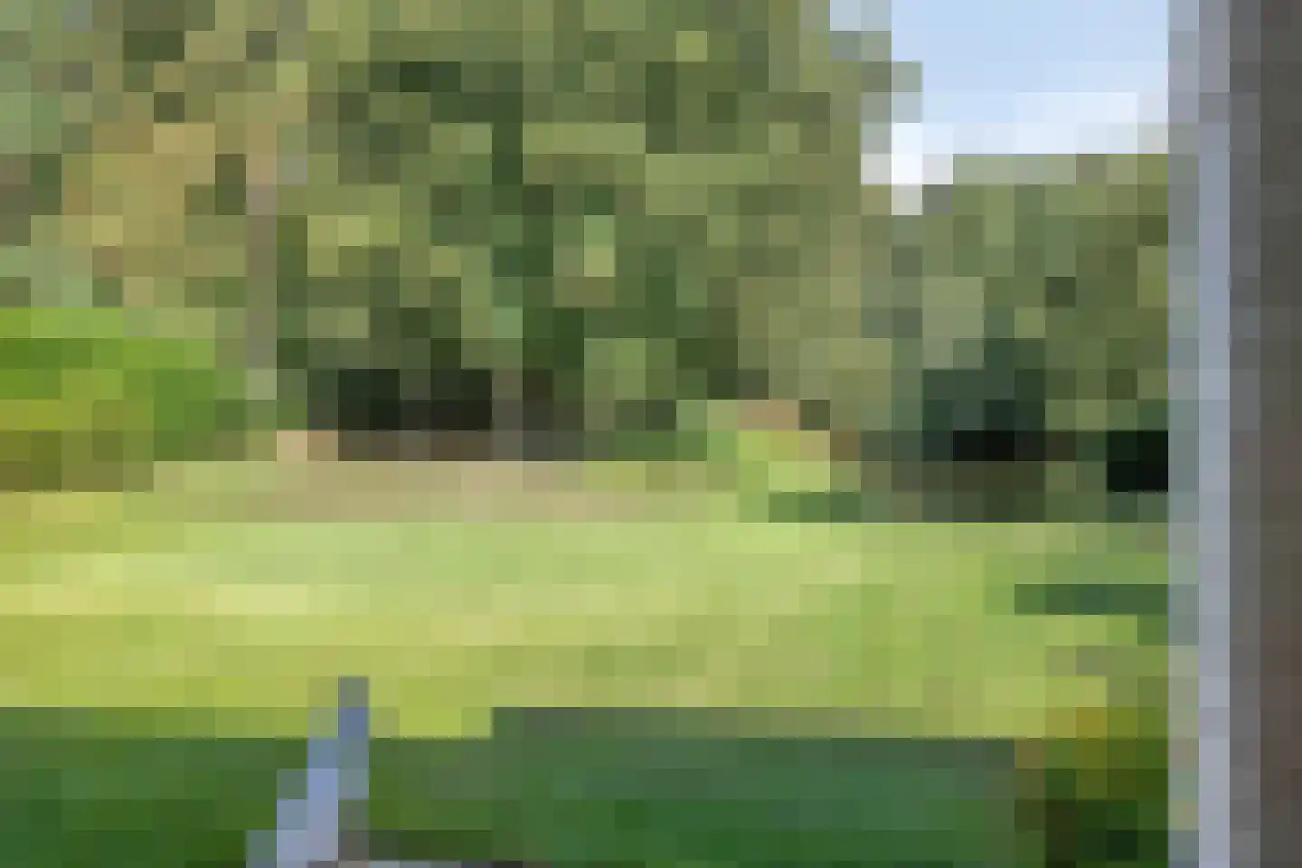 Elspeterweg 30 Vaassen thumbnail 44
