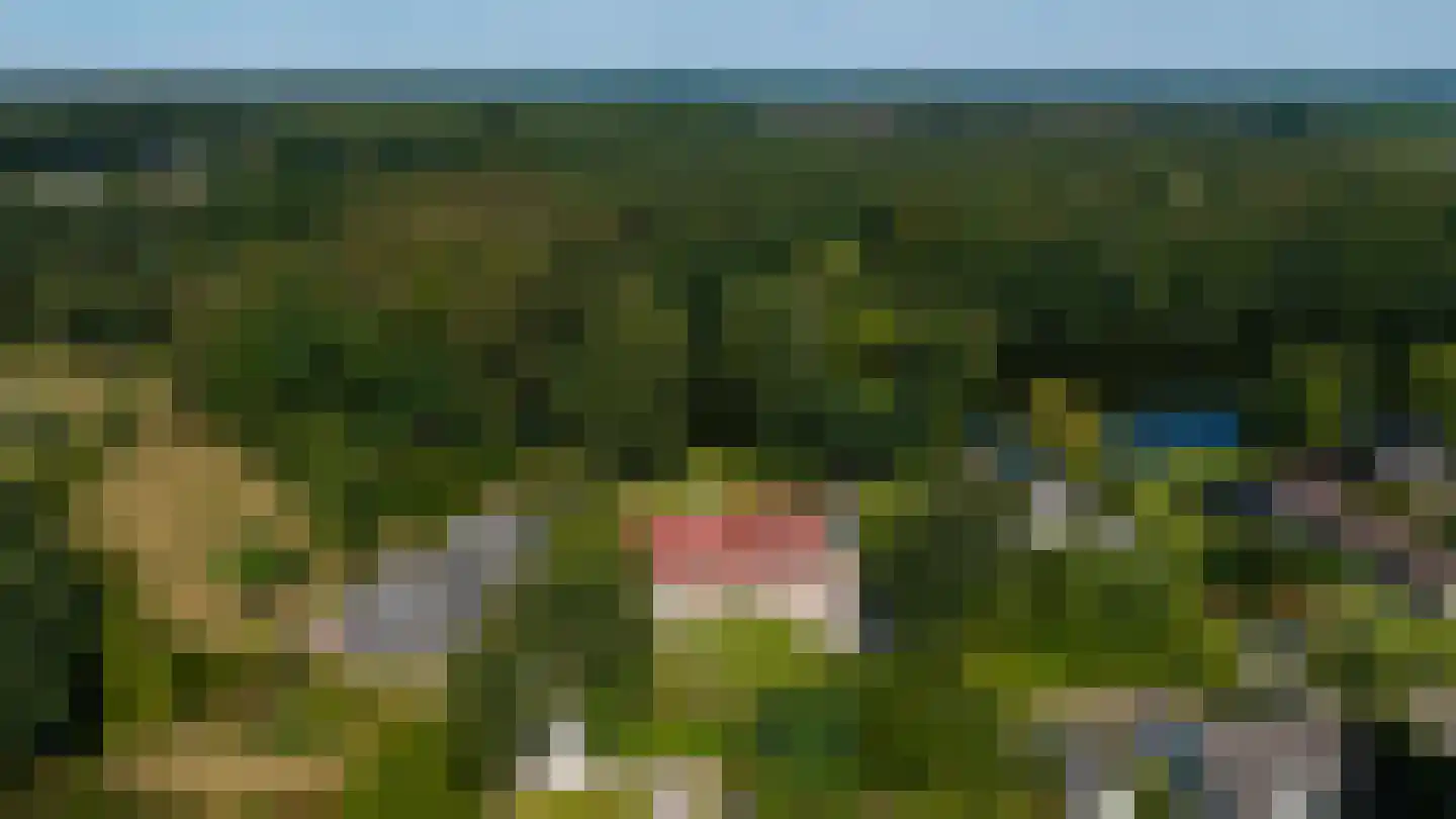 Elspeterweg 30 Vaassen thumbnail 45