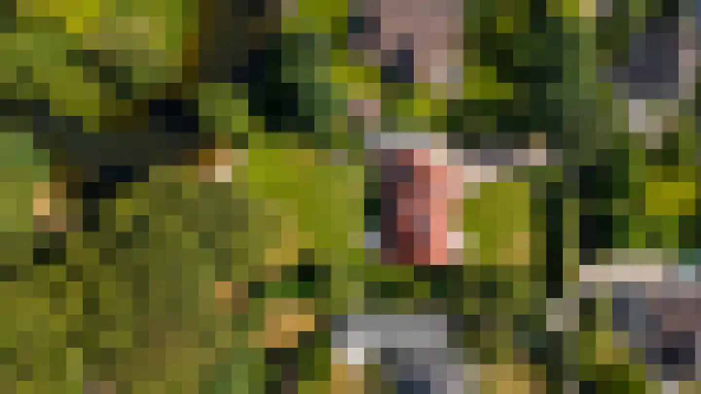 Elspeterweg 30 Vaassen thumbnail 46
