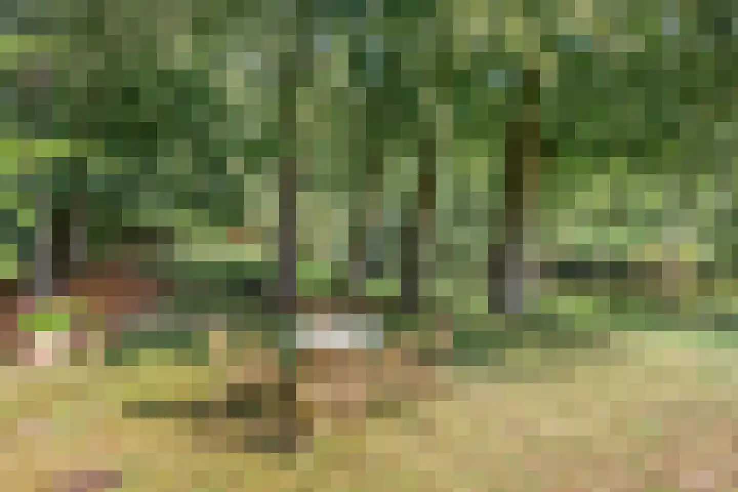 Elspeterweg 30 Vaassen thumbnail 52