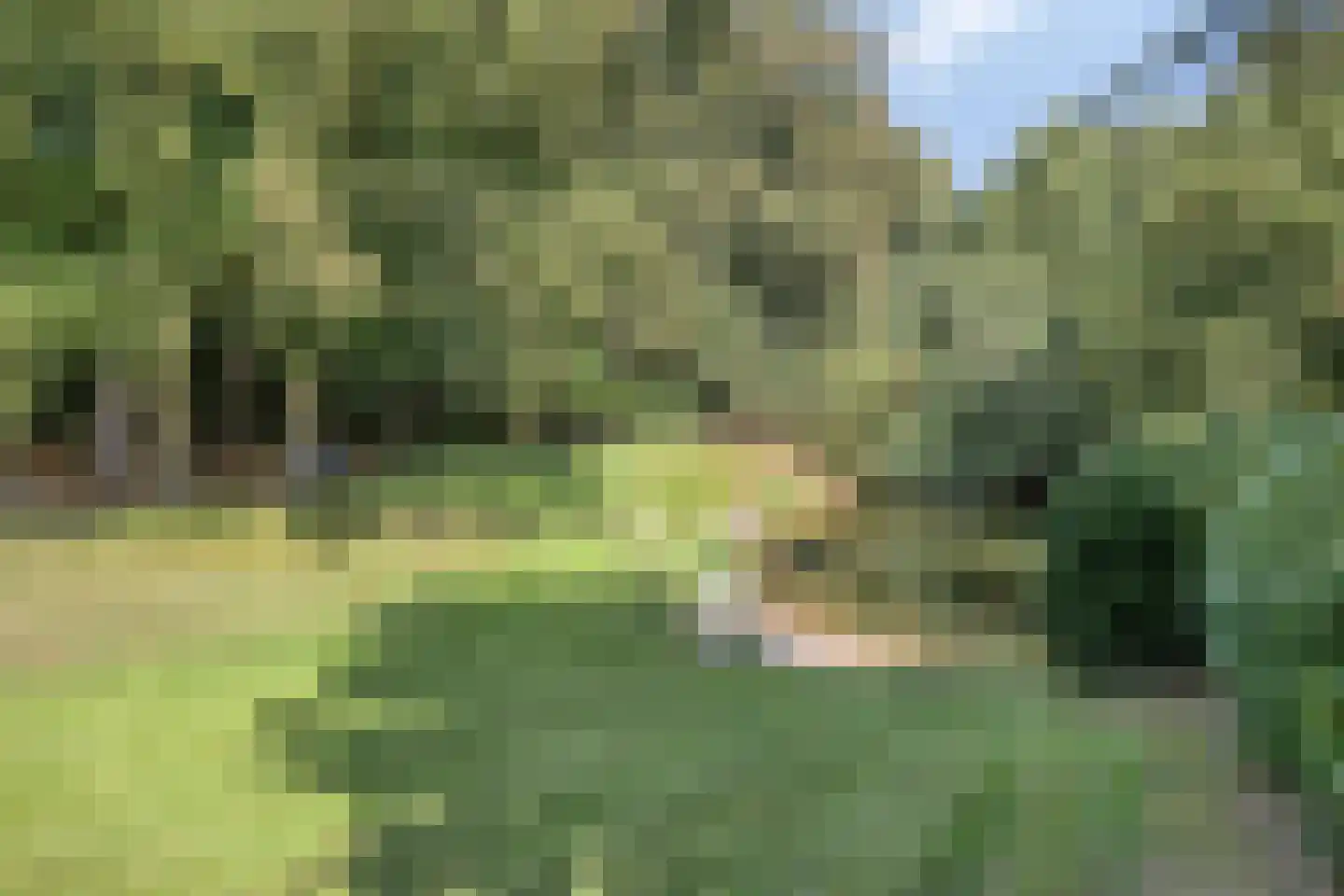Elspeterweg 30 Vaassen thumbnail 54