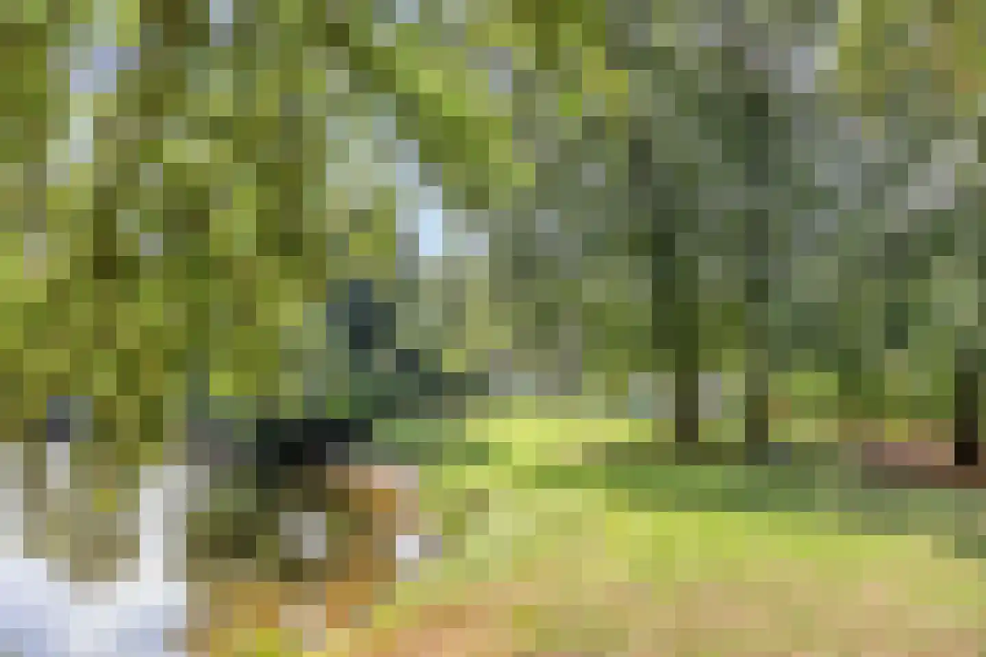 Elspeterweg 30 Vaassen thumbnail 55