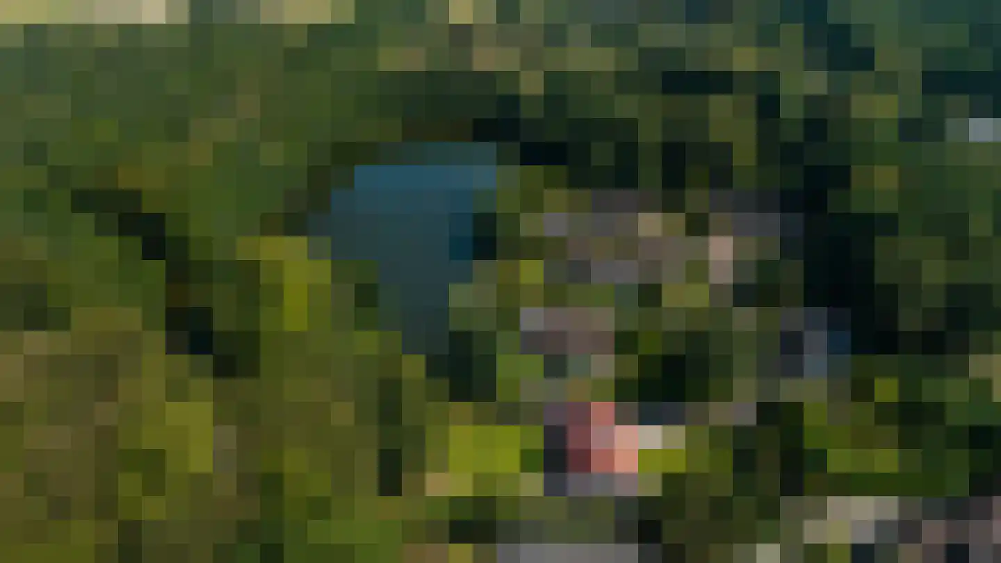 Elspeterweg 30 Vaassen thumbnail 56