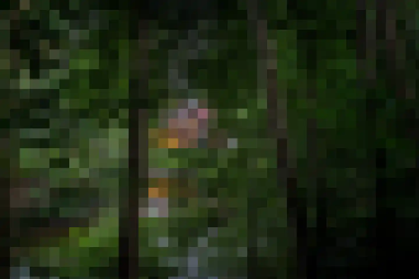 Elspeterweg 30 Vaassen thumbnail 57