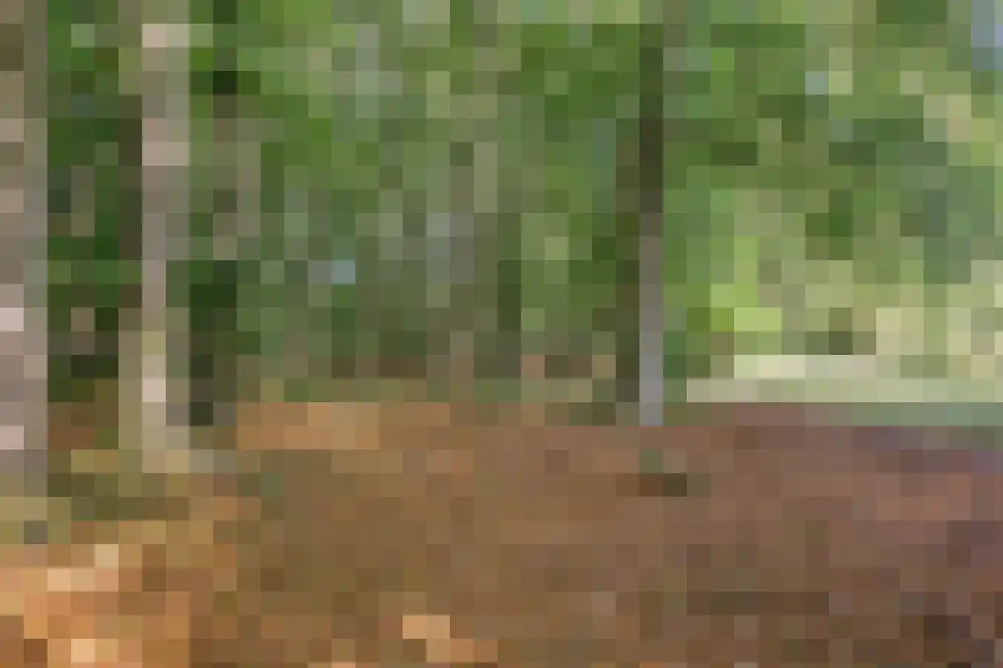Elspeterweg 30 Vaassen thumbnail 59