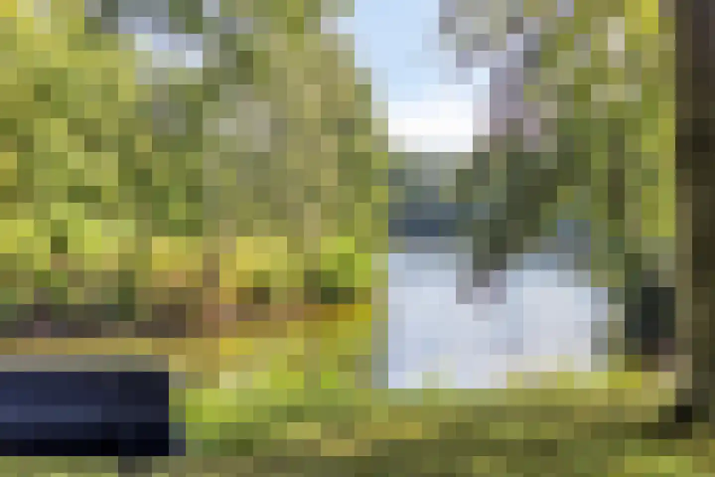 Elspeterweg 30 Vaassen thumbnail 62