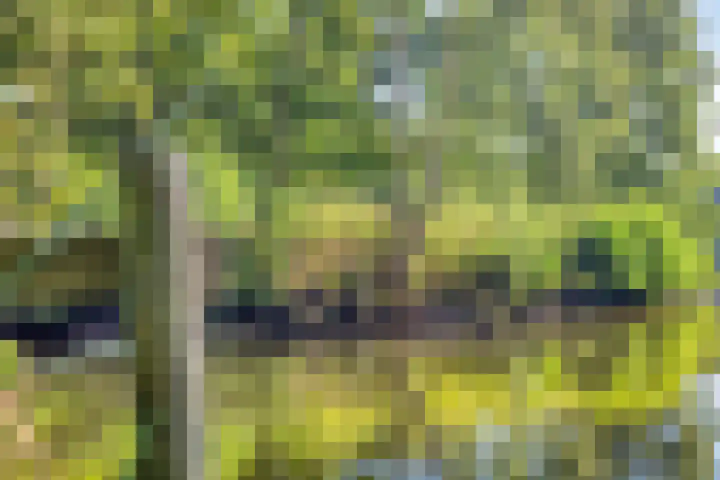 Elspeterweg 30 Vaassen thumbnail 63