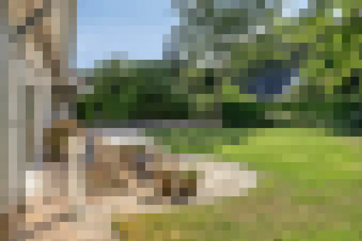 Elspeterweg 30 Vaassen thumbnail 66