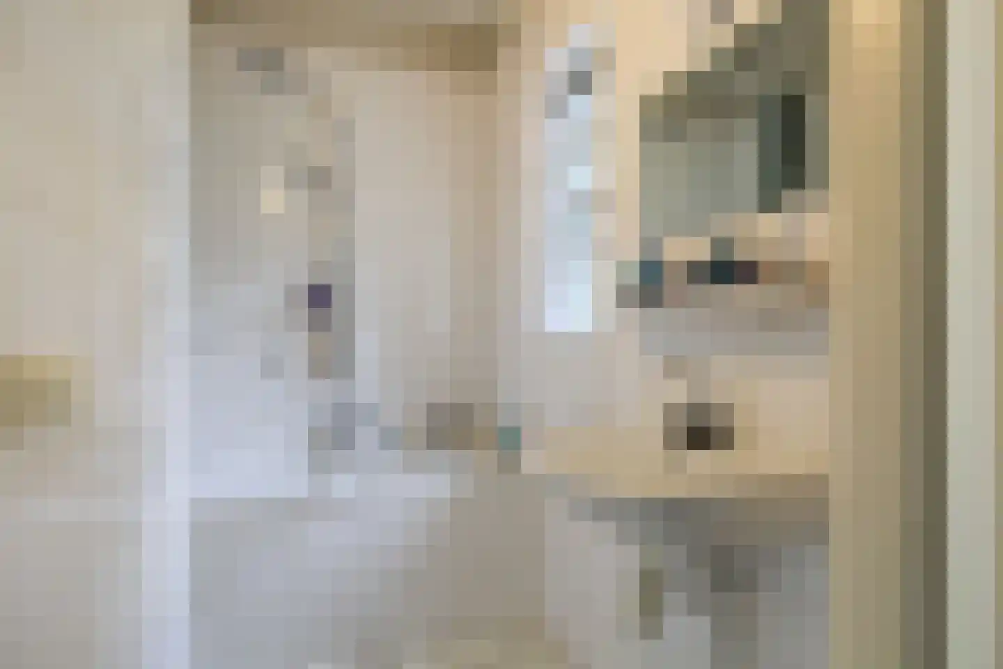 Elspeterweg 34 0023 Nunspeet thumbnail 13