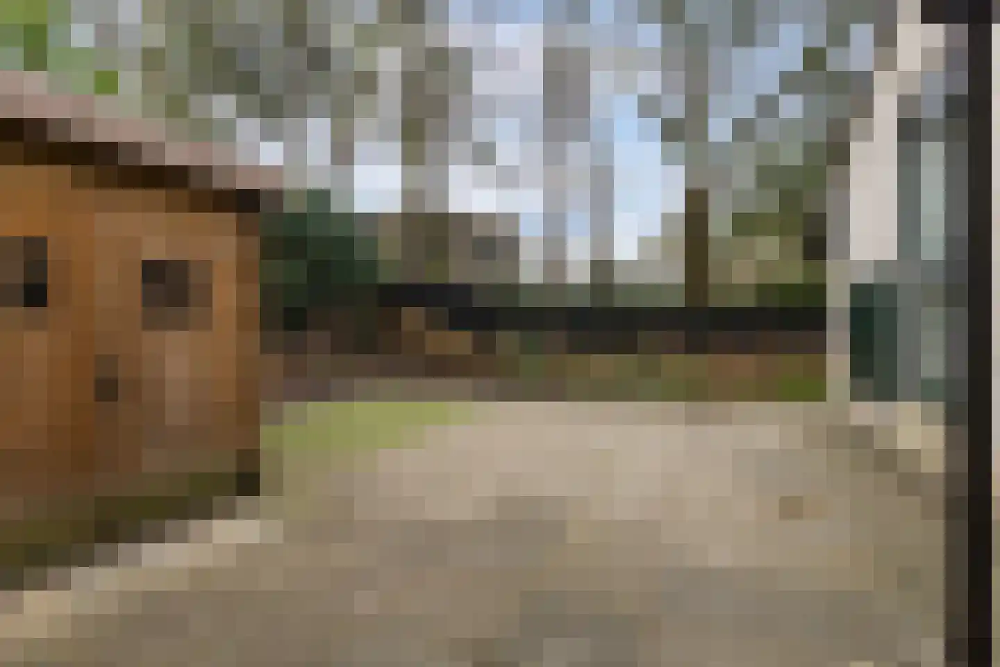 Elspeterweg 34 0023 Nunspeet thumbnail 21