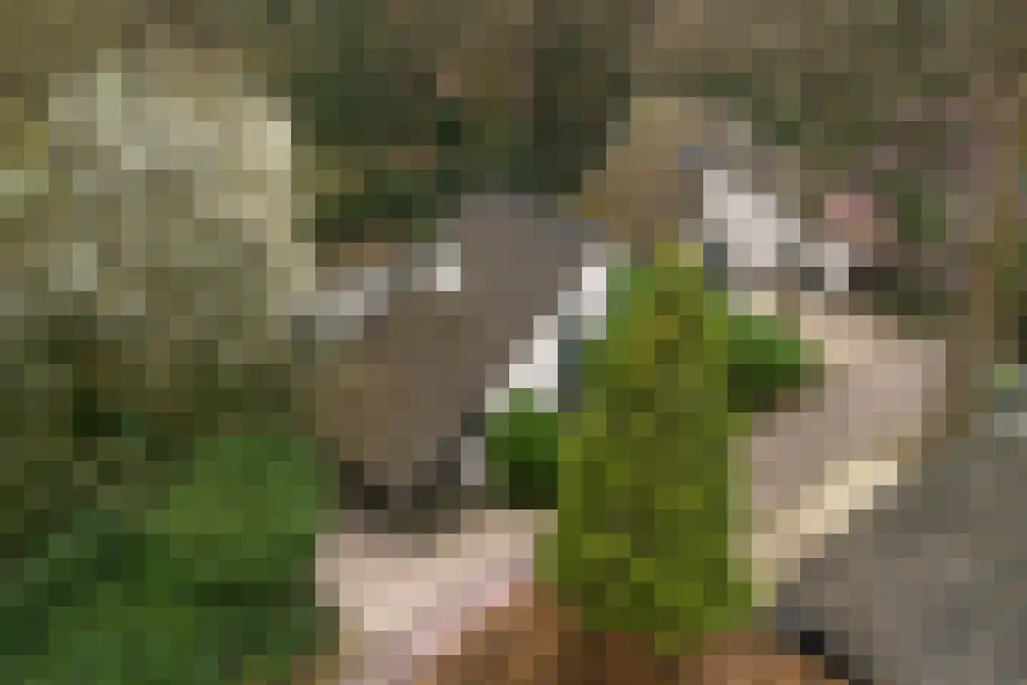 Elspeterweg 34 0023 Nunspeet thumbnail 22