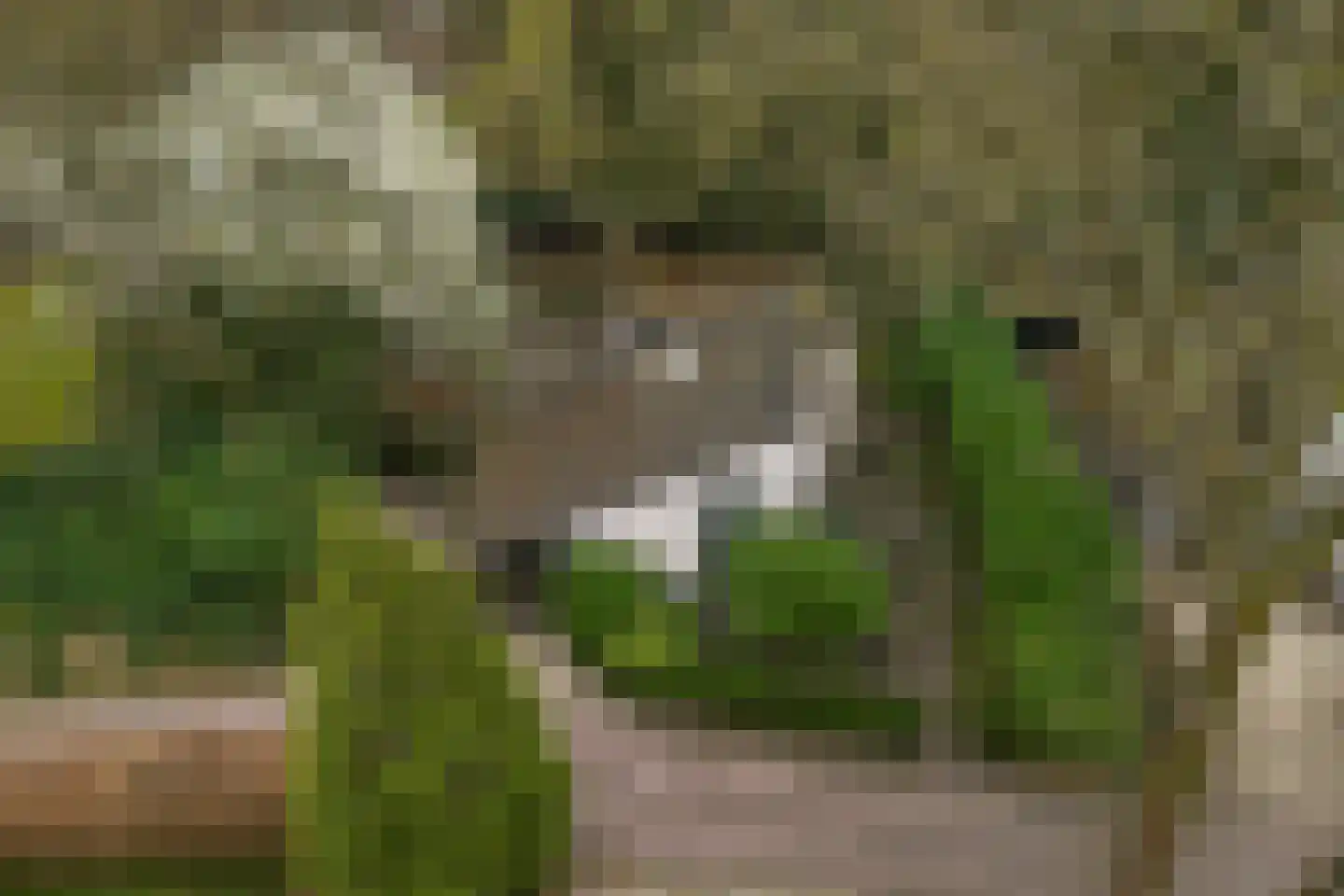 Elspeterweg 34 0023 Nunspeet thumbnail 23