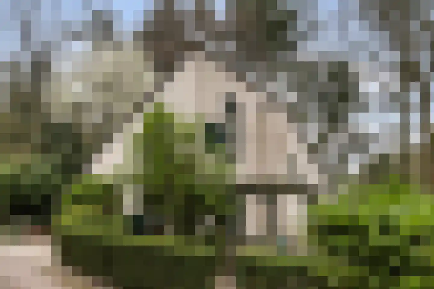 Elspeterweg 34 0023 Nunspeet thumbnail 25