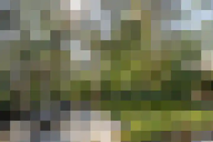 Elspeterweg 47 07 Vaassen thumbnail 20
