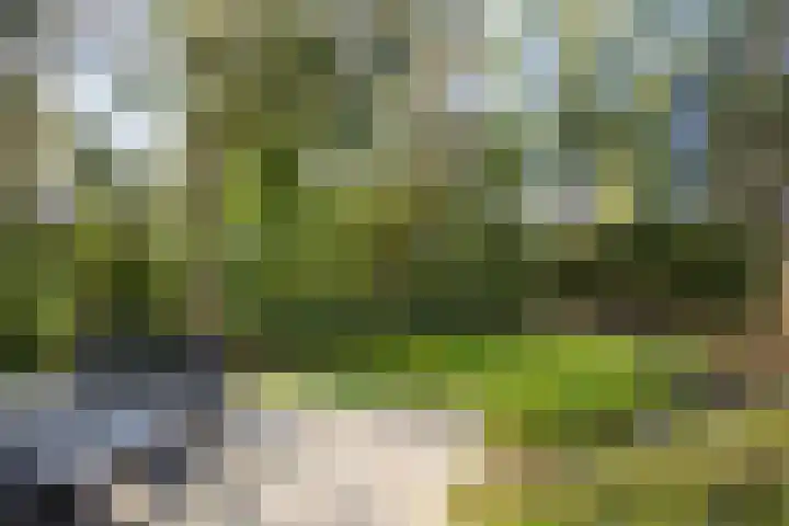 Elspeterweg 47 07 Vaassen thumbnail 22