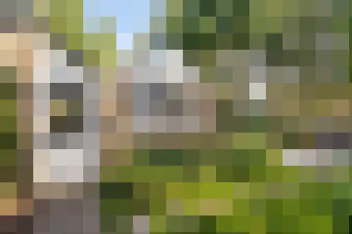 Elspeterweg 47 07 Vaassen thumbnail 23