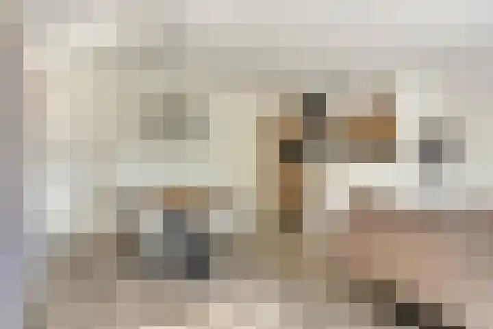 Elspeterweg 47 07 Vaassen thumbnail 7