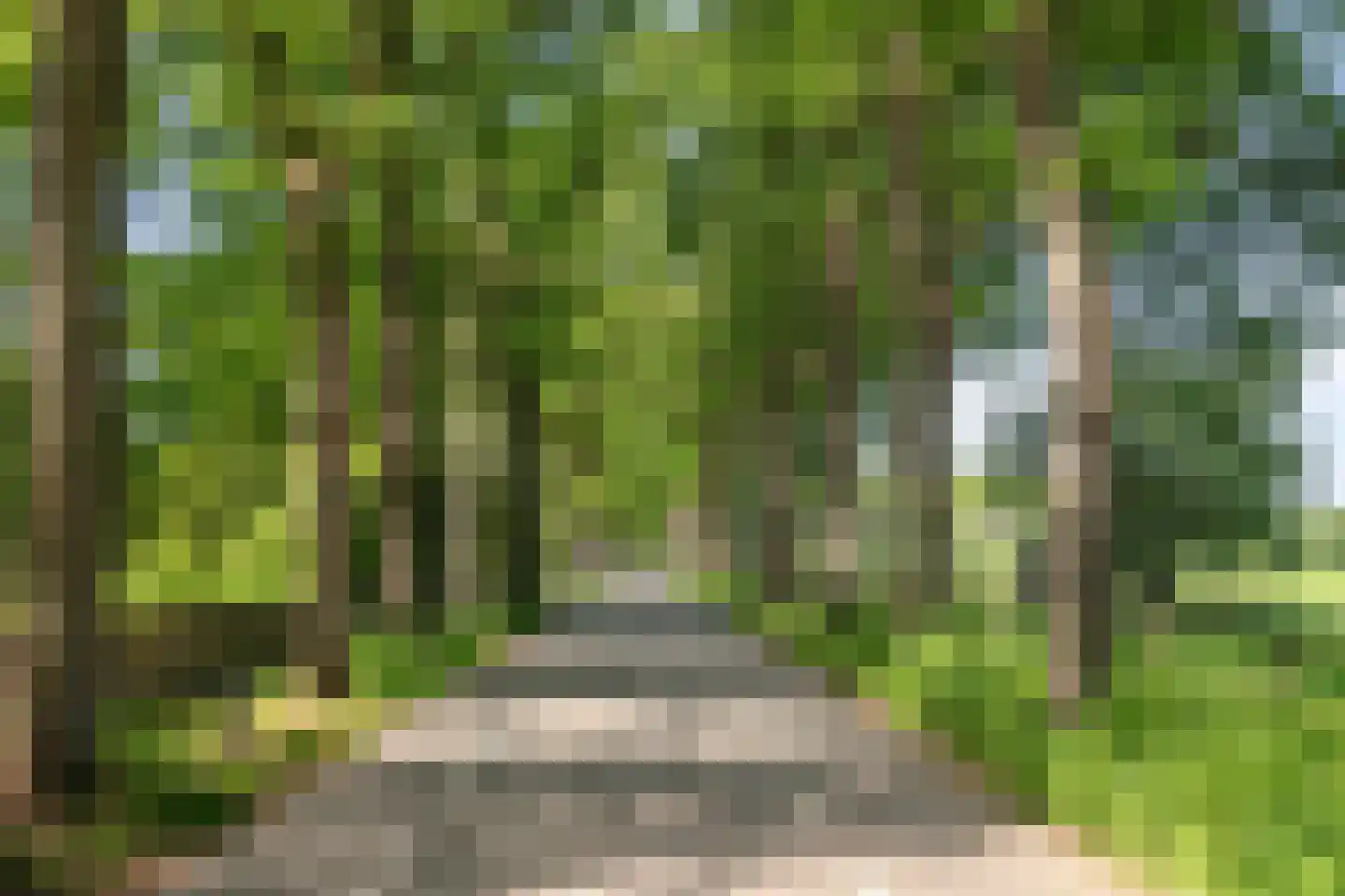 Elspeterweg 47 08 Vaassen thumbnail 33