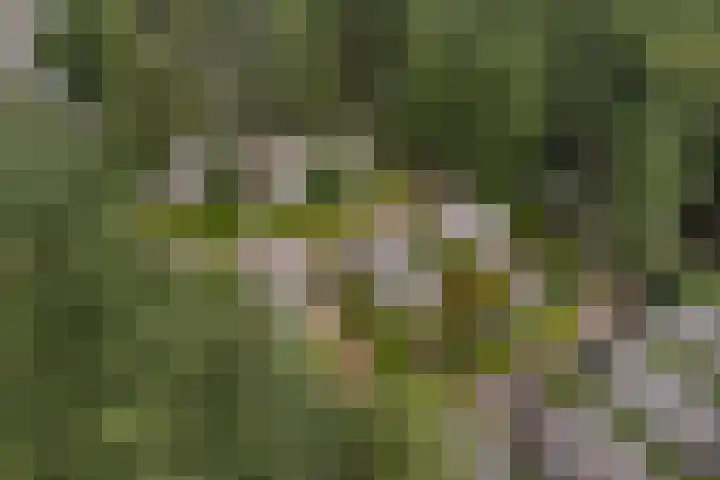 Elspeterweg 47 16 Vaassen thumbnail 27