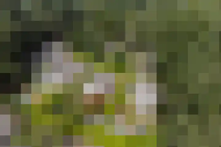Elspeterweg 47 16 Vaassen thumbnail 4