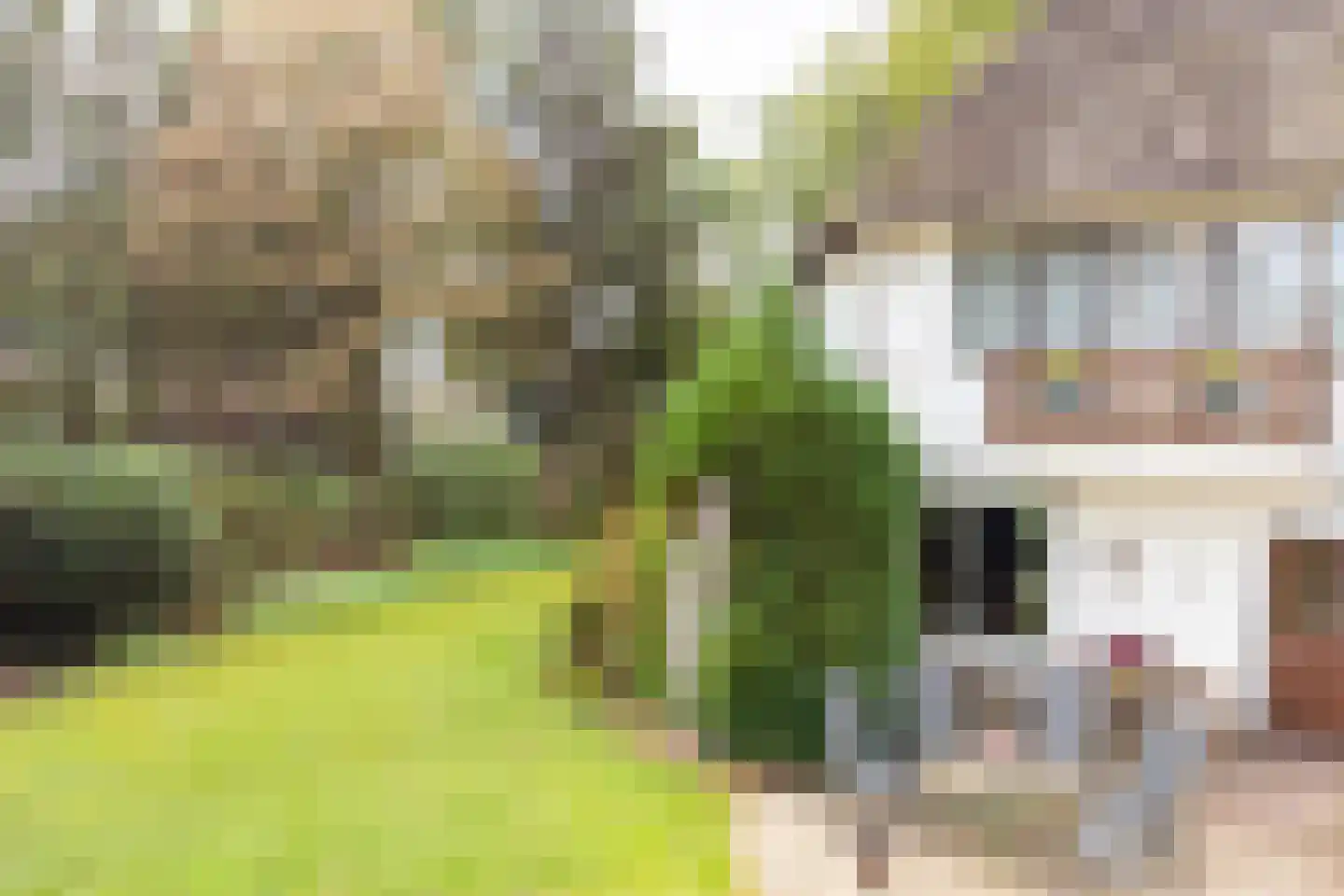 Elspeterweg 72 Uddel thumbnail 34