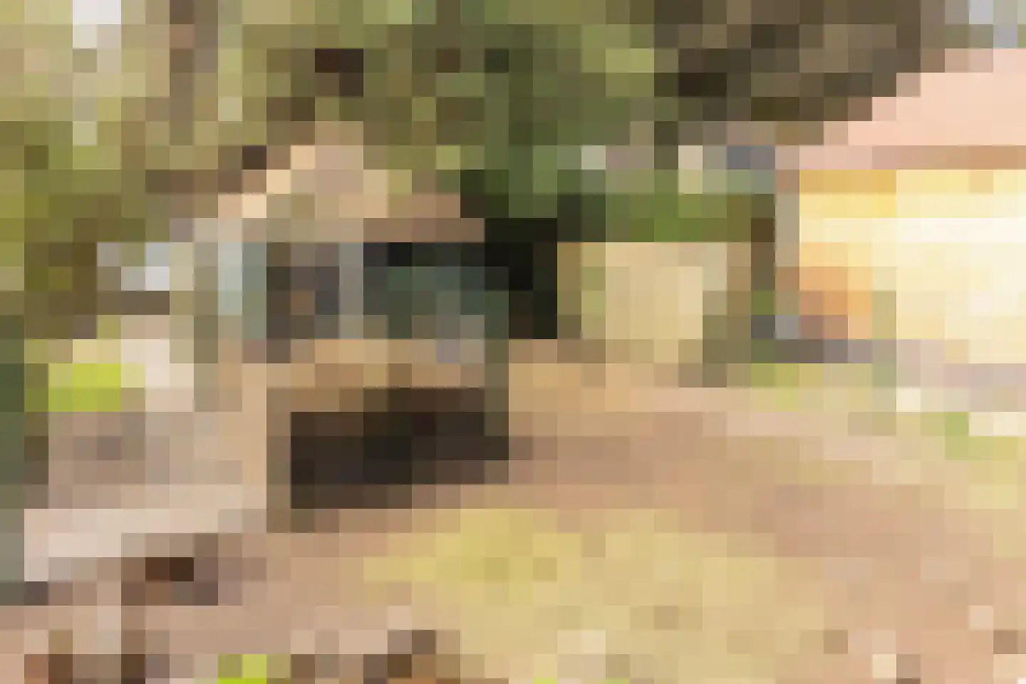 Elspeterweg 72 Uddel thumbnail 36