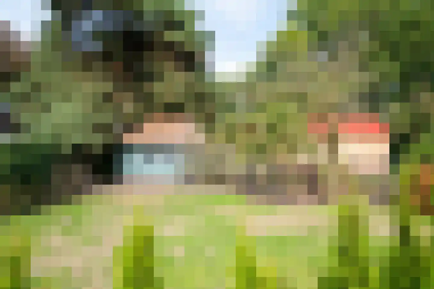 Elspeterweg 72 Uddel thumbnail 38