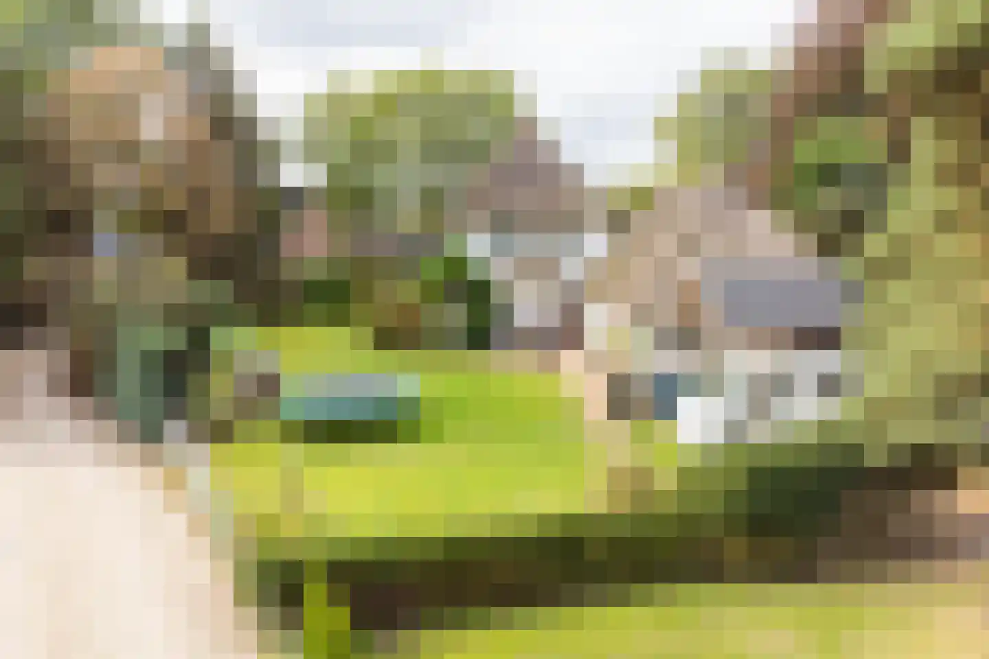 Elspeterweg 72 Uddel thumbnail 40