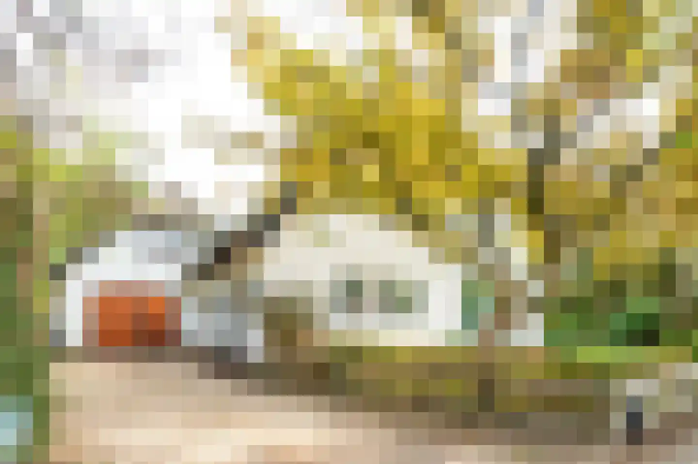 Elspeterweg 72 Uddel thumbnail 8