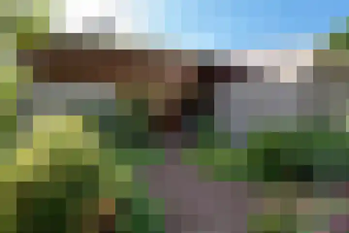 Elsschotlaan 14 Groningen thumbnail 10