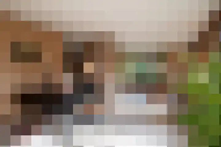 Elsschotlaan 14 Groningen thumbnail 14