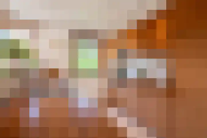 Elsschotlaan 14 Groningen thumbnail 21