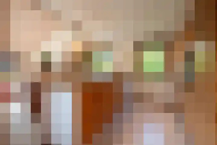 Elsschotlaan 14 Groningen thumbnail 22