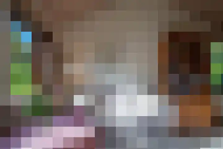 Elsschotlaan 14 Groningen thumbnail 24