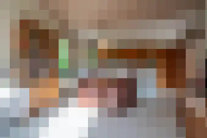 Elsschotlaan 14 Groningen thumbnail 25
