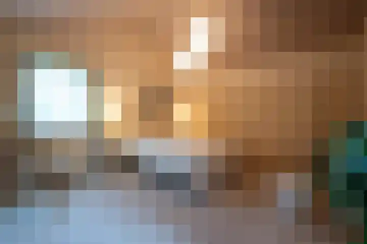 Elsschotlaan 14 Groningen thumbnail 26
