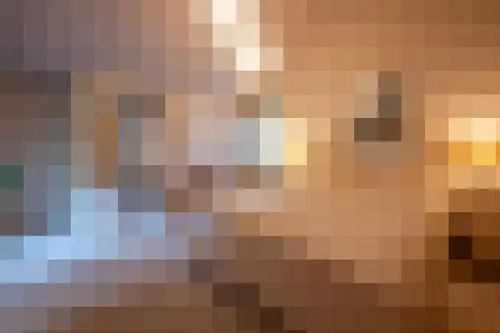 Elsschotlaan 14 Groningen thumbnail 27