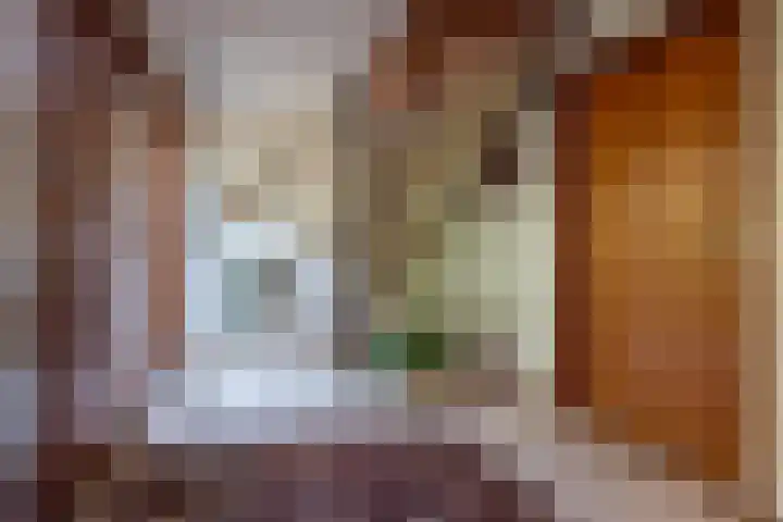 Elsschotlaan 14 Groningen thumbnail 29