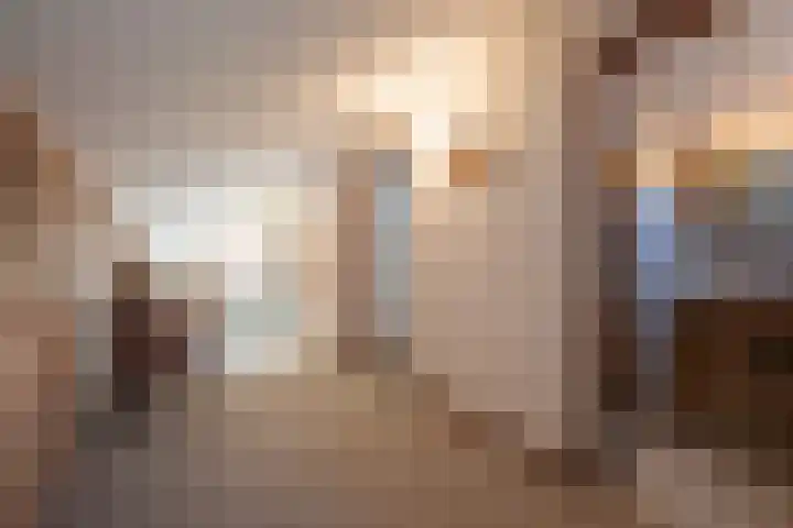 Elsschotlaan 14 Groningen thumbnail 31