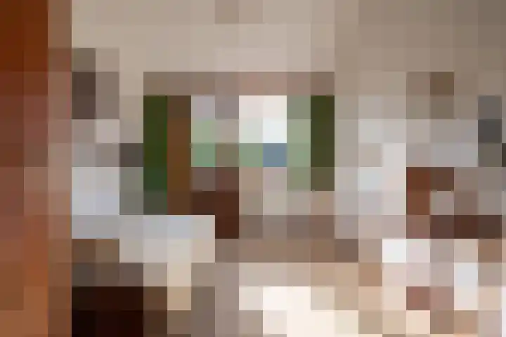 Elsschotlaan 14 Groningen thumbnail 34