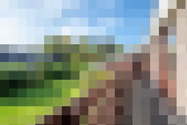 Elsschotlaan 14 Groningen thumbnail 36